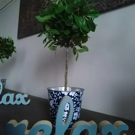 Orient Relax Garden Кестхей